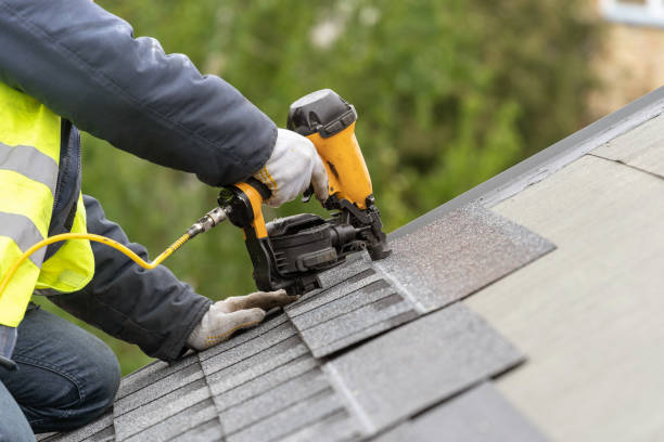 Best Roof Moss and Algae Removal  in Emerson, GA
